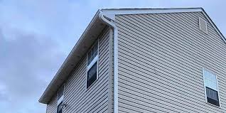 Professional Siding in Dayton, NV